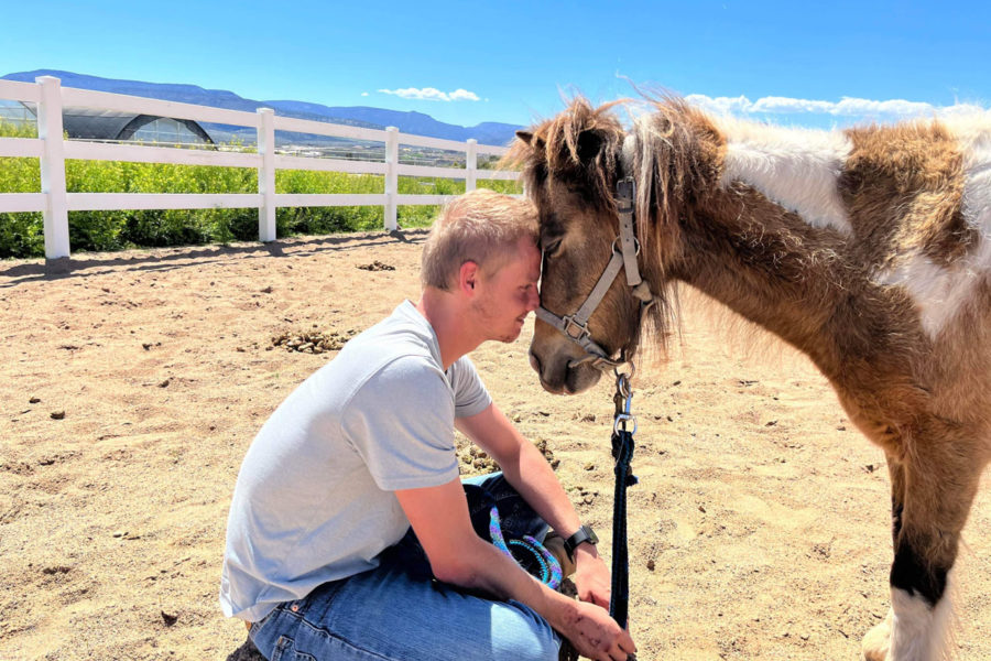 The barn at Rainbow Acres is a great place for the resident ranchers and staff to decompress and relax with the animals.