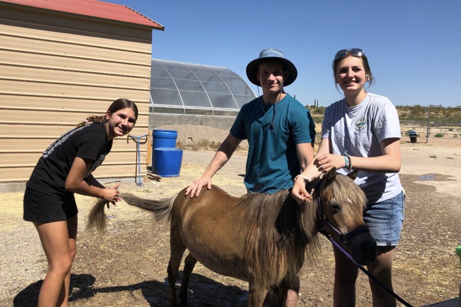 A mission team volunteering at Rainbow Acres helping to tend to the barn animals