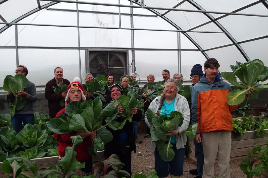 A mission team volunteering at Rainbow Acres in the green house, helping to pick the harvest.